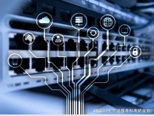 网络工程、物联网工程与数字媒体技术 就业前景与方向深度解析