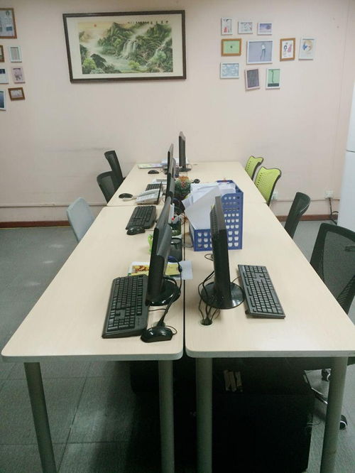 广州欧品网络科技 以技术创新驱动企业数字化未来