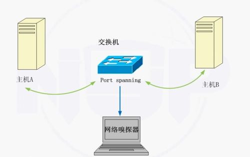 网络安全防护技术与网络技术开发 构建数字时代的防护屏障